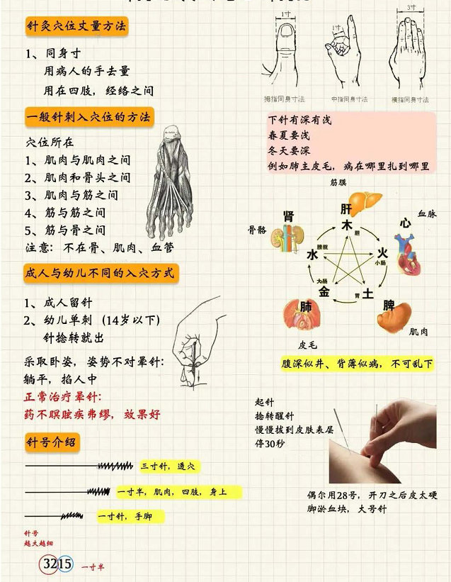 针灸穴位丈量方法