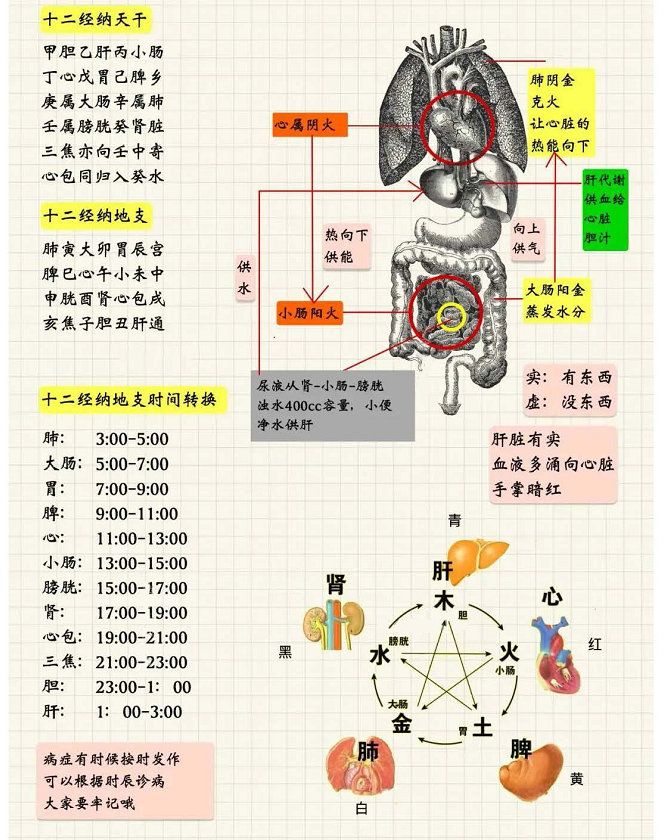 十二经纳天干地支歌