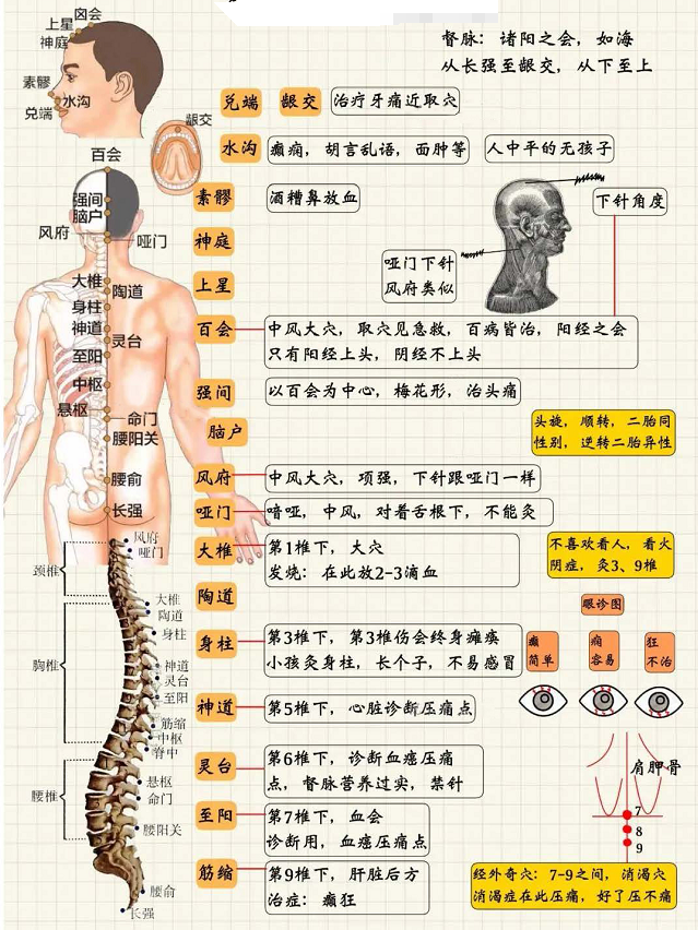 督脉经穴系统总结1