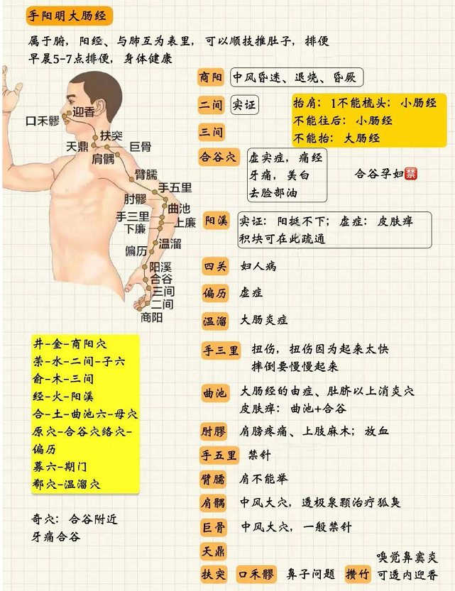 https://img.xingtan.one/i/2025/07/12/6872348d37de5.webp