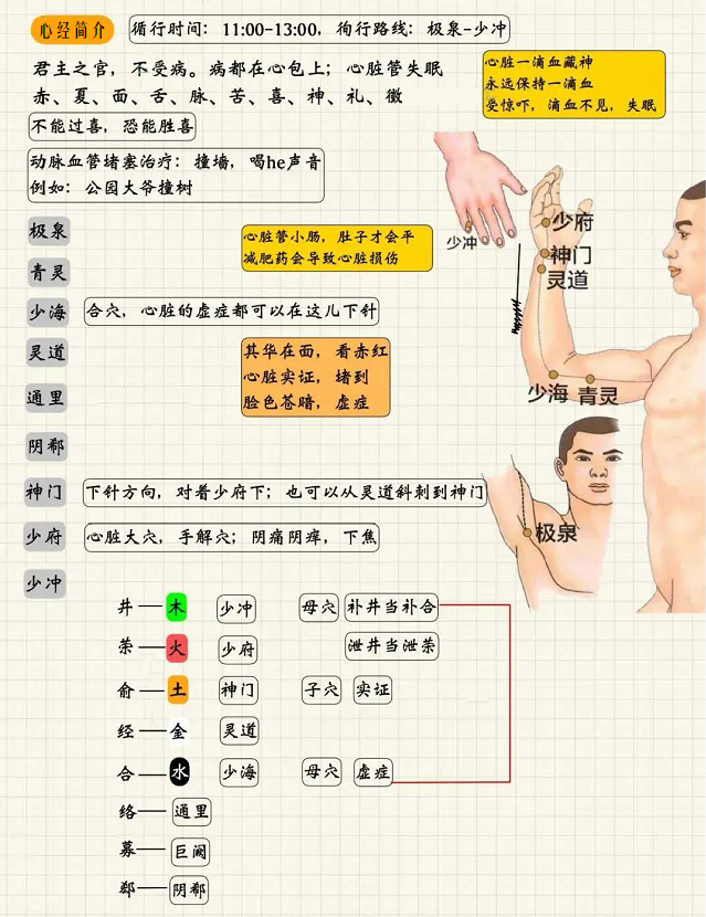 手少阴心经