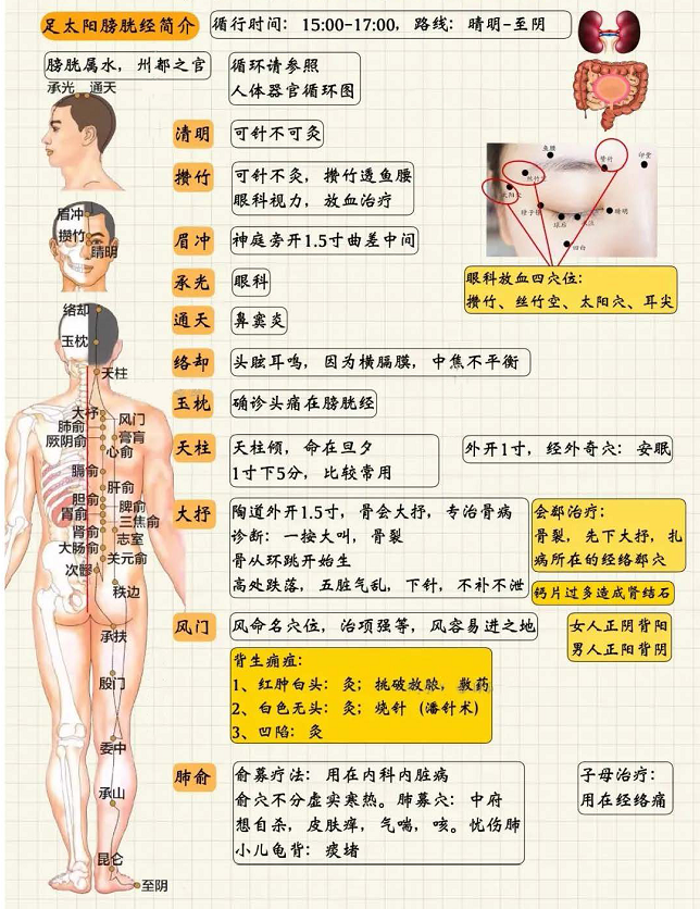 足太阳膀胱经1