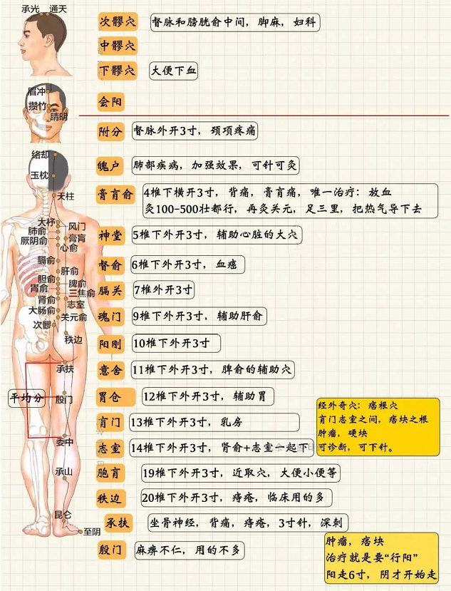 足太阳膀胱经3