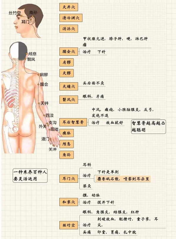 手少阳三焦经4