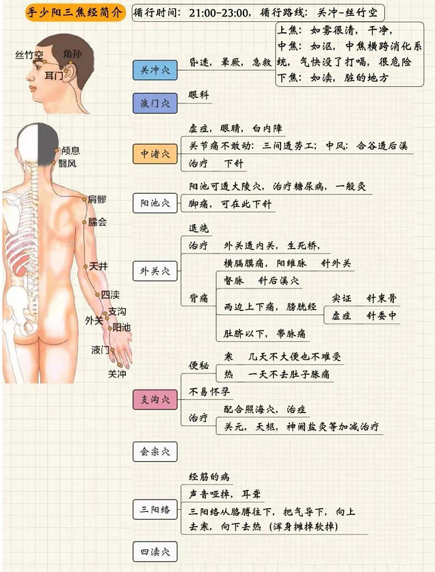 手少阳三焦经1