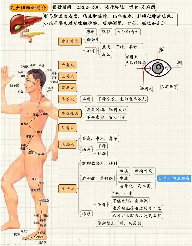 足少阳胆经1