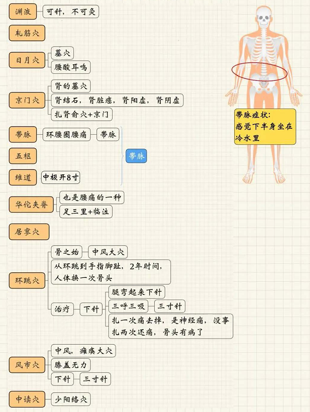 足少阳胆经2