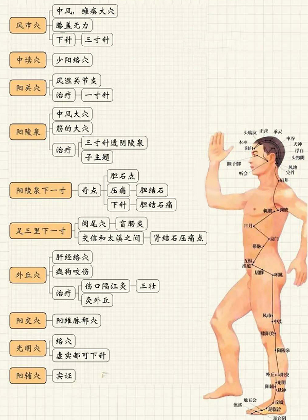 足少阳胆经3