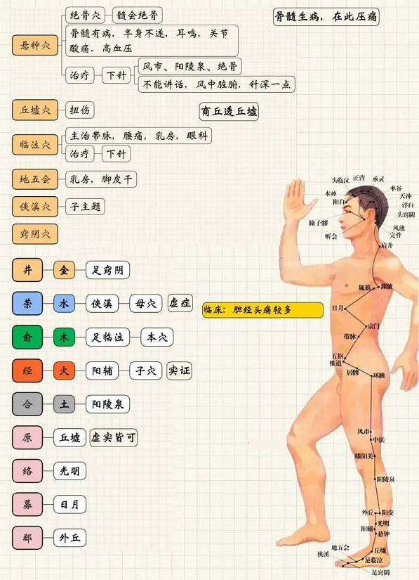 足少阳胆经4