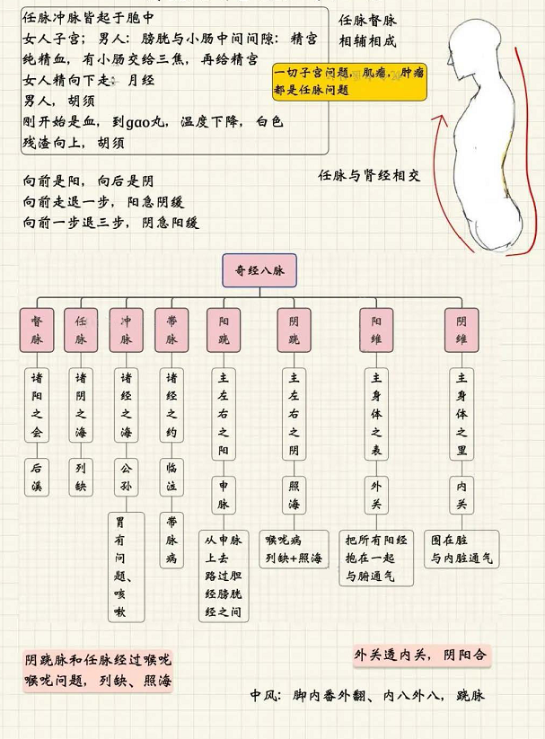 奇经八脉