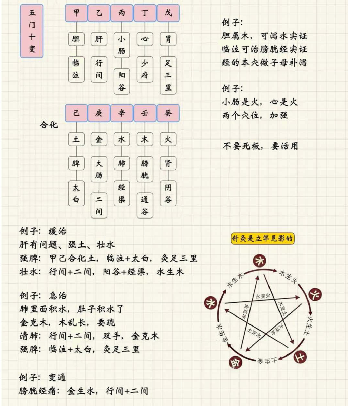 针刺手法4