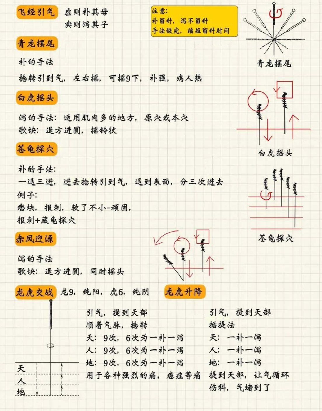 针刺手法5