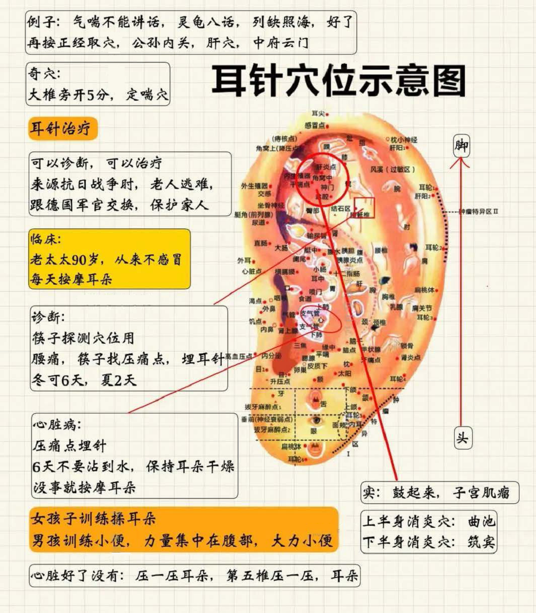 针灸治症12